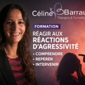 formation gestion agressivité
