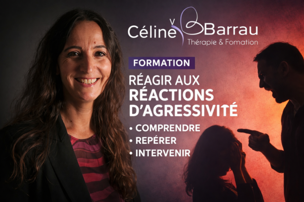 formation gestion agressivité